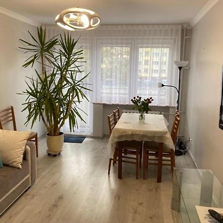 Apartament Przy Katedrze Gorzow Wielkopolski Exterior photo