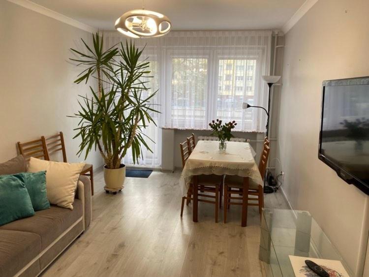Apartament Przy Katedrze Gorzow Wielkopolski Exterior photo
